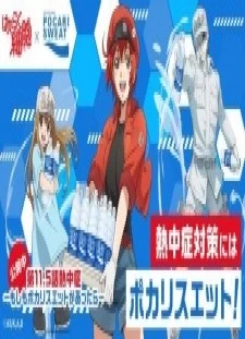 Hataraku Saibou: Necchuushou - Moshimo Pocari Sweat ga Attara